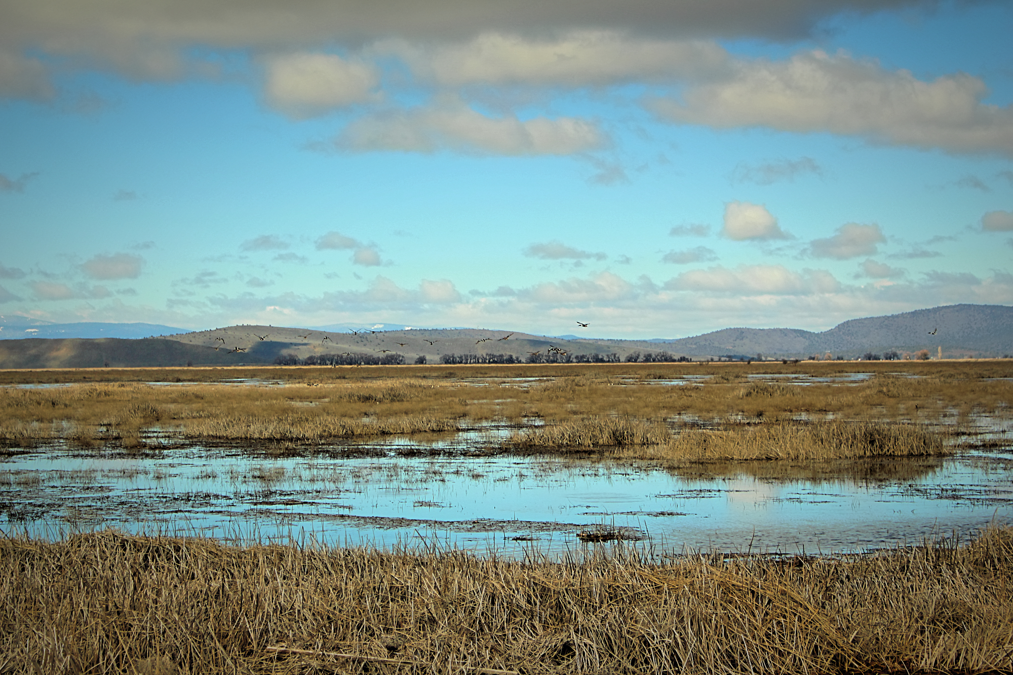 Unit 3 of the Lower Klamath National Wildlife Refuge